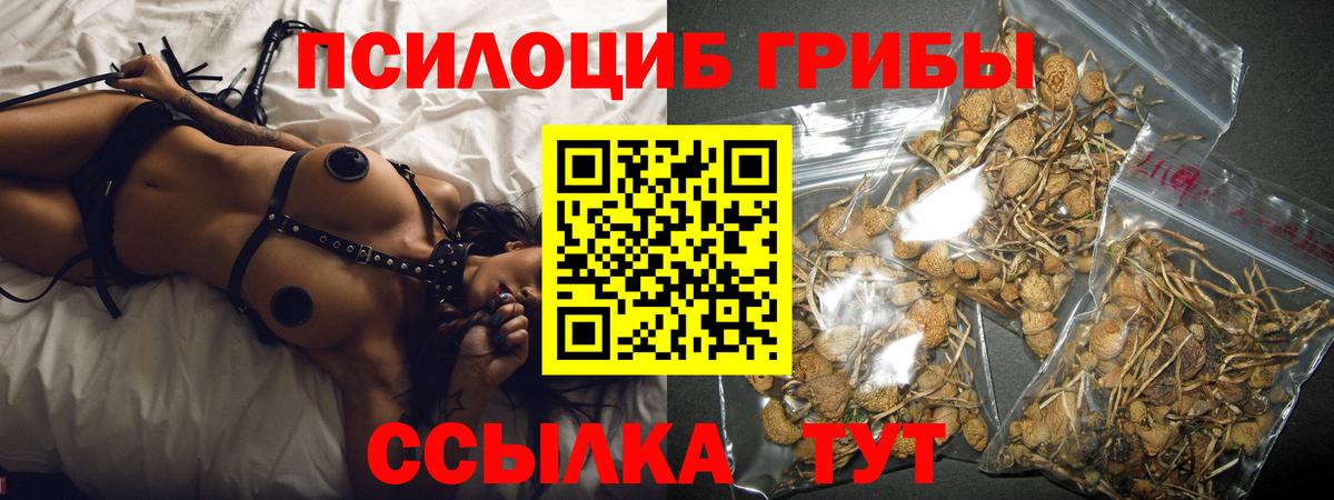 Лабытнанги  Псилоцибиновые грибы мухоморы  Вход с VPN 