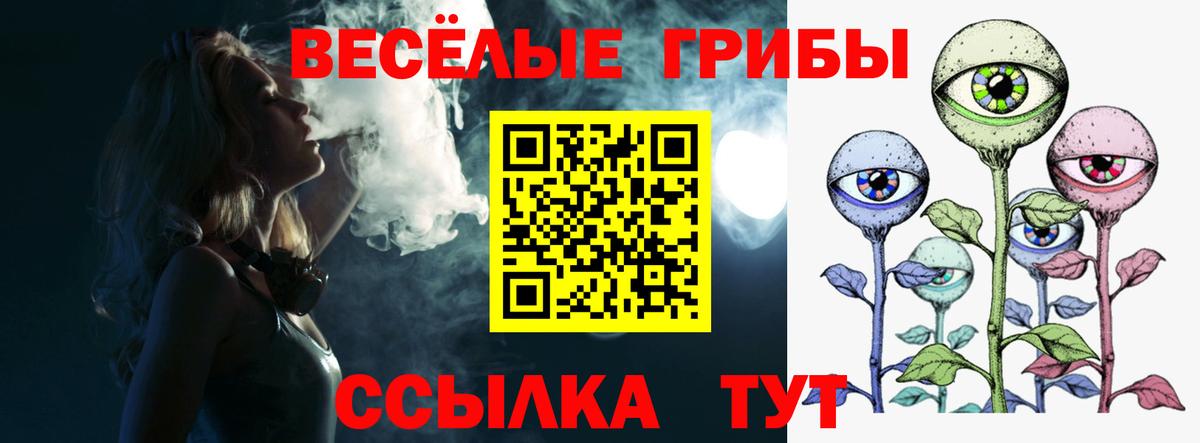 Галлюциногенные грибы Psilocybine cubensis Лабытнанги